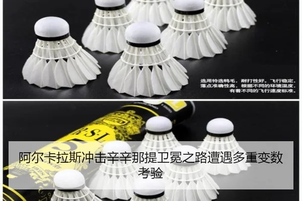 a-er-ka-la-si-chong-ji-xin-xin-na-ti-wei-mian-zhi-lu-zao-yu-duo-zhong-bian-shu-kao-yan-3-912.jpg